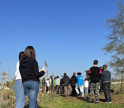 Grünes Klassenzimmer am Gemlinger Weiher