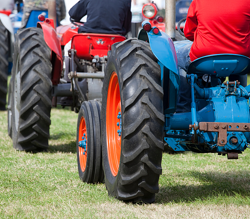 Oldtimer Traktoren Rückansicht von zwei Traktoren mit Fahrern auf Grasfläche, einer blau, einer rot.