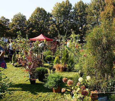 große Auswahl an Pflanzen für den heimischen Garten